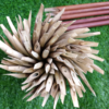 Bamboo Qalam Jar (Random Sizes)