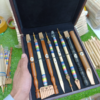 Professional Calligraphy Set