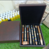Professional Calligraphy Set