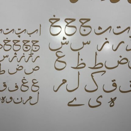 WhatsApp Image 2026-09-21 at 11.49.44 AM (1) Sulus Cutouts